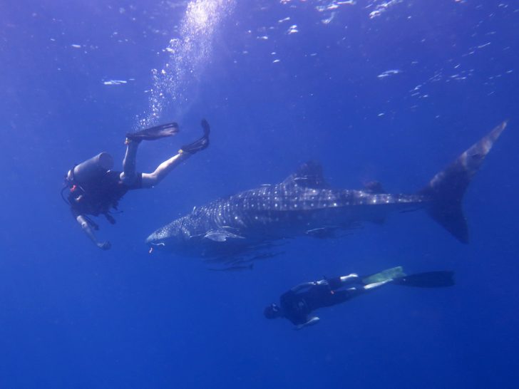 freediving_16-11-2017_17