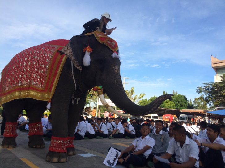 ช้าง1