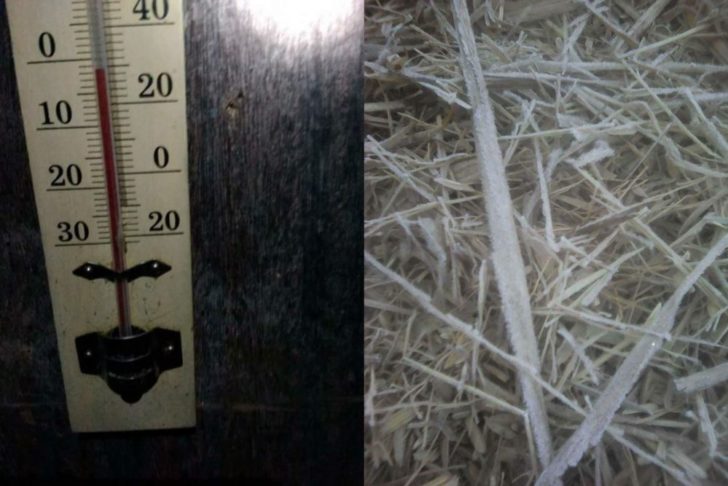 111