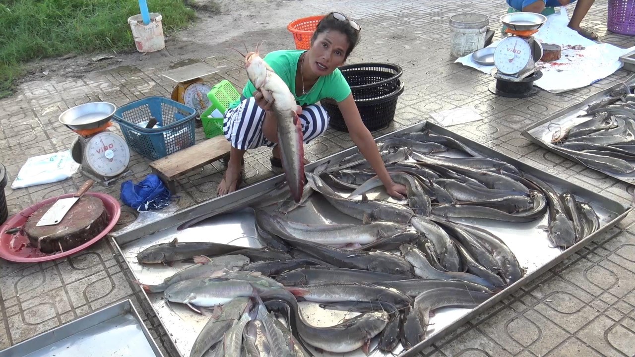 ตลาดปลาดุก-ปลากดทะเล สงขลาคึกคัก จับขายกันสดๆ รายได้งาม