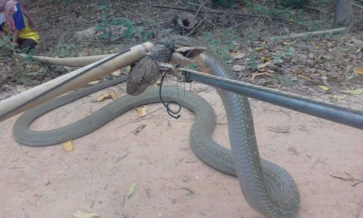 79