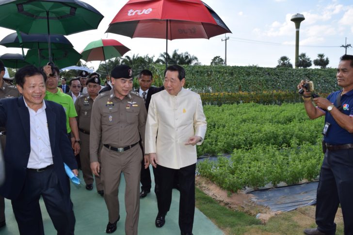 แปะ1