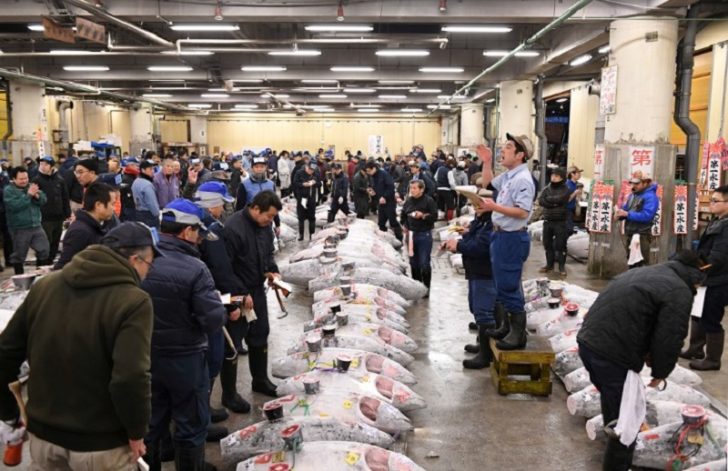 JAPAN-FOOD-AUCTION-TSUKIJI