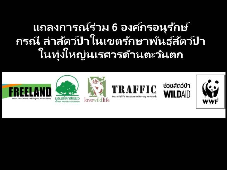 6 องคืกรอนุรักษ์