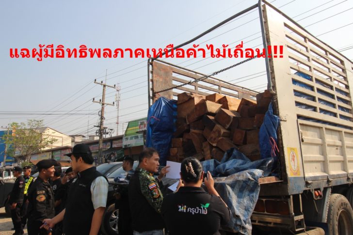 ค้าไม้เถื่อน