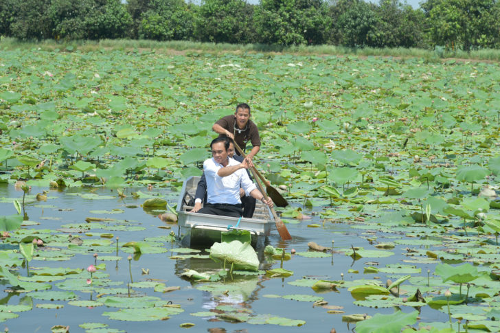 พล.อ.ประยุทธื จันทร์โอชา พายเรือชมบัว