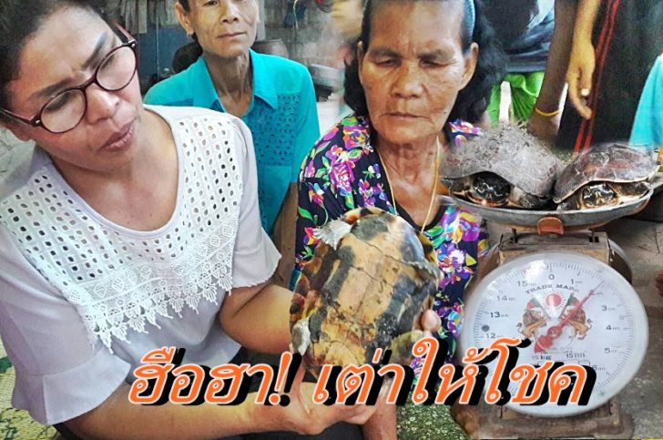รูปประกอบ