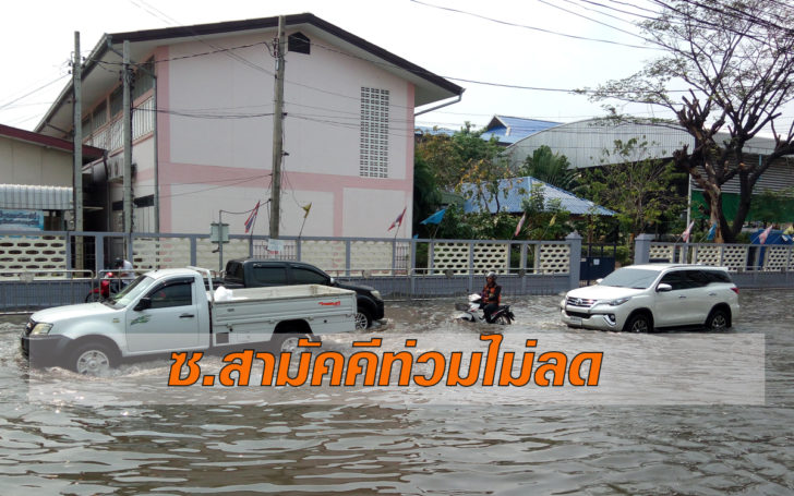 สามัคคี