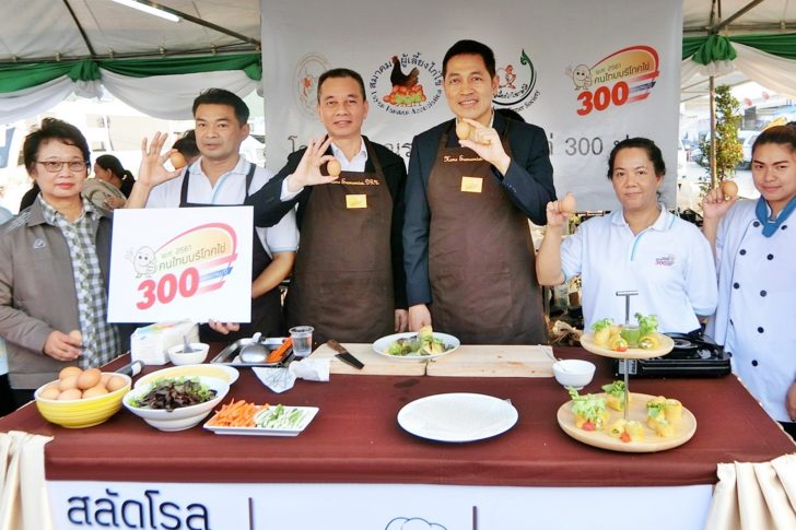 Photo-EGGs 300