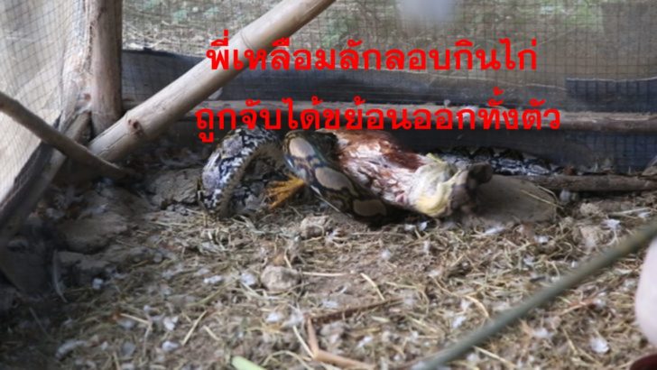 Presentation1000