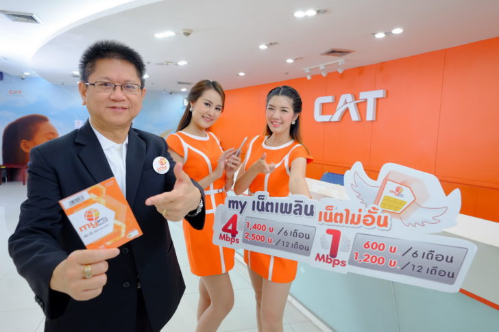 my by CAT_my เน็ดเพลิน