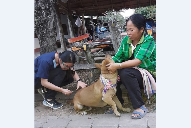 pic-01 ฉีดวัคซีนป้องกันโรคพิษสุนัขบ้า