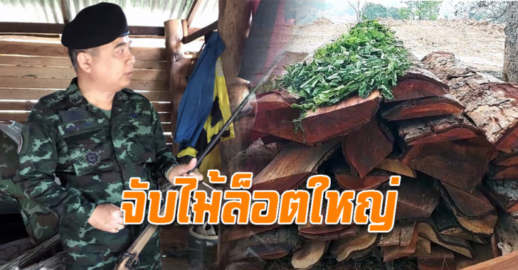 จับไม้2