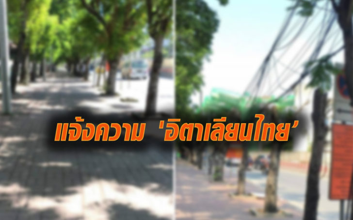 ตัดต้นไม้