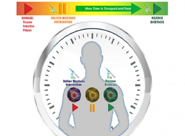 นำ-DARPA BIOSTASIS