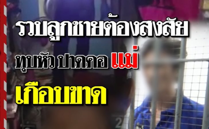 ปกลูกทรพี