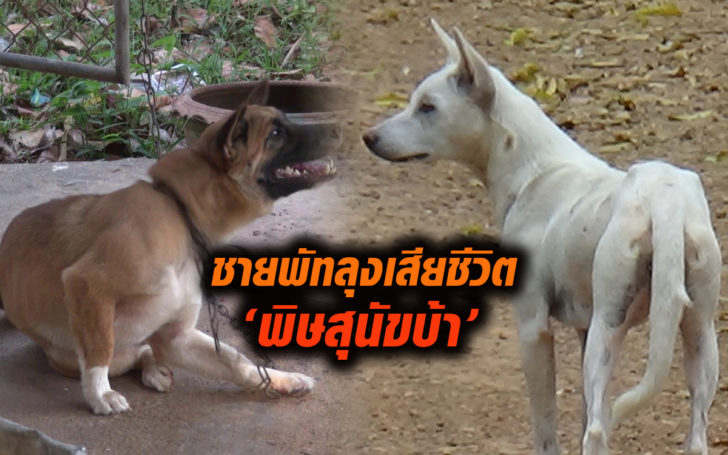 พัทลุงเสียชีวิตพิษ