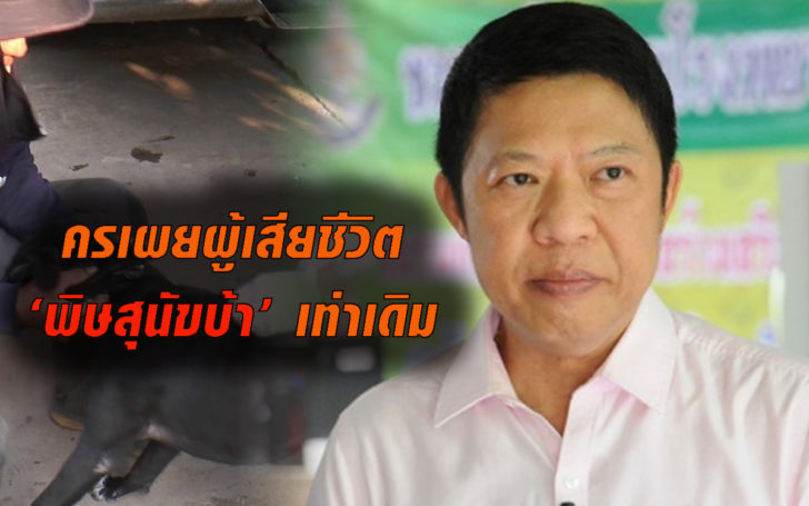 สุนัขบ้าเท่าเดิม