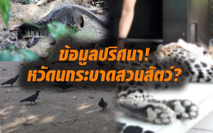 หวัดนกระบาดจริงหรือ