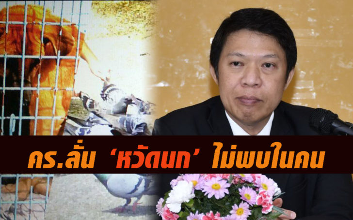 หวัดนกไม่พบในคน1