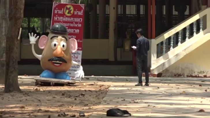 ห้ามปล่อยหมาทิ้งวัด