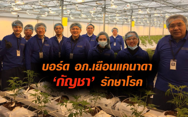 อภ.ดูกัญชา