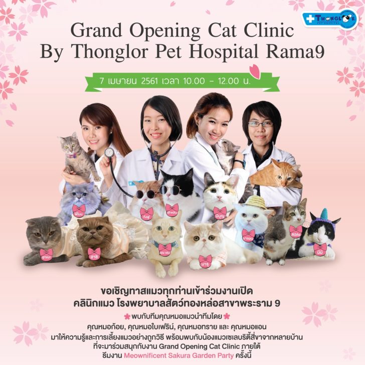 Grand Opening Cat Clinic