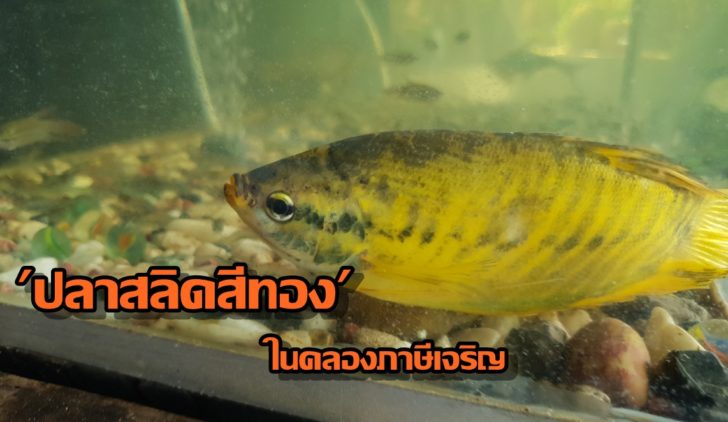 20180516_100027