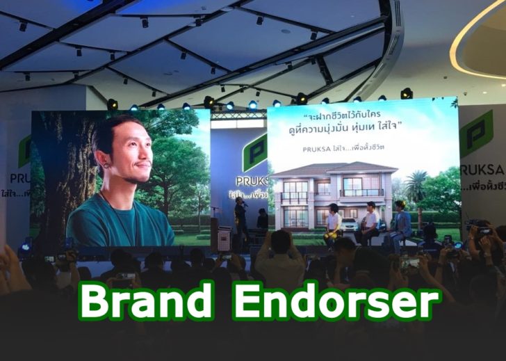 Brand Endorser