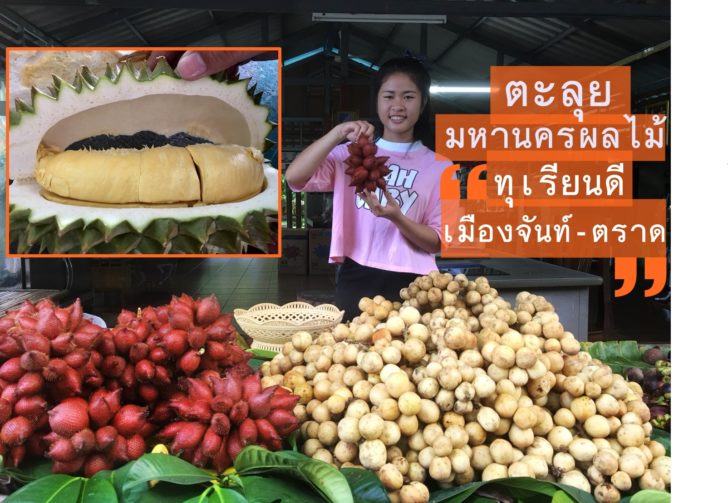 ทุเรียน