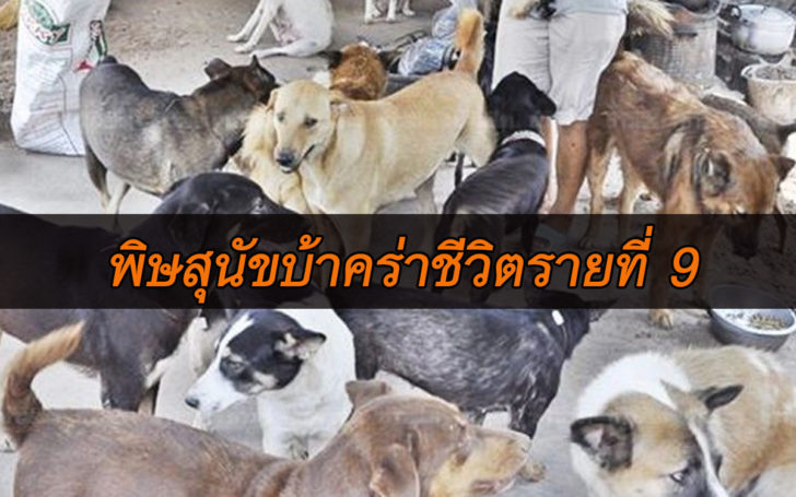 คร่าชีวิตรายที่ 9