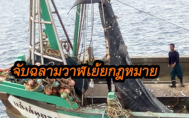ดดดด45522