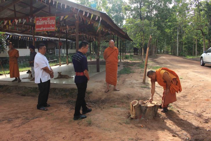 ตัดไม้พะยูงในวัด1