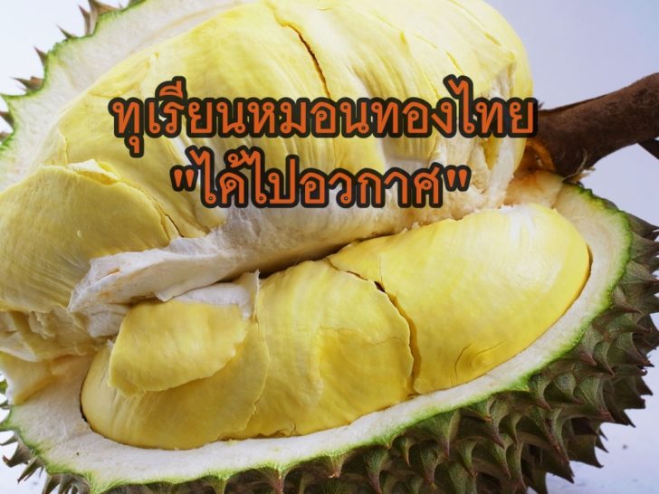30109515 - durian is known as the king of fruit and popular in southeast asia