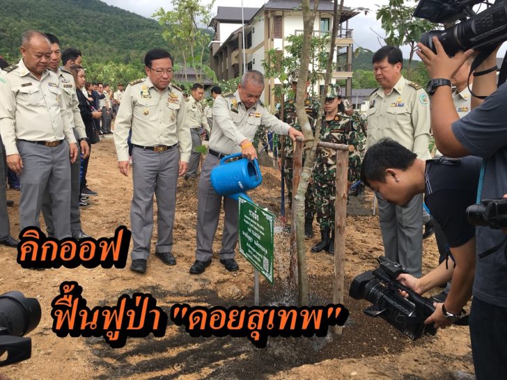 เชียงใหม่ ปลูกป่า