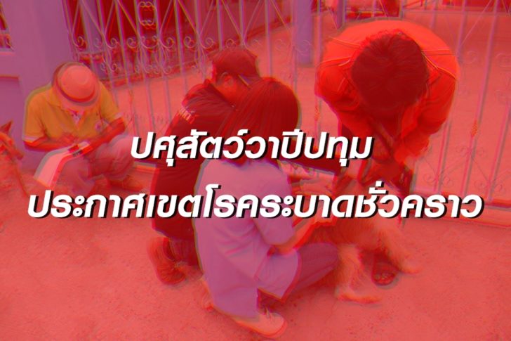 โรคระบาดชั่วคราว