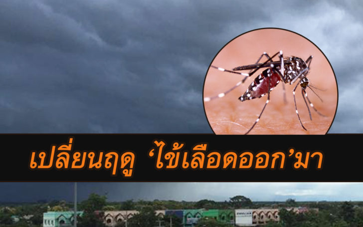 ไดดด