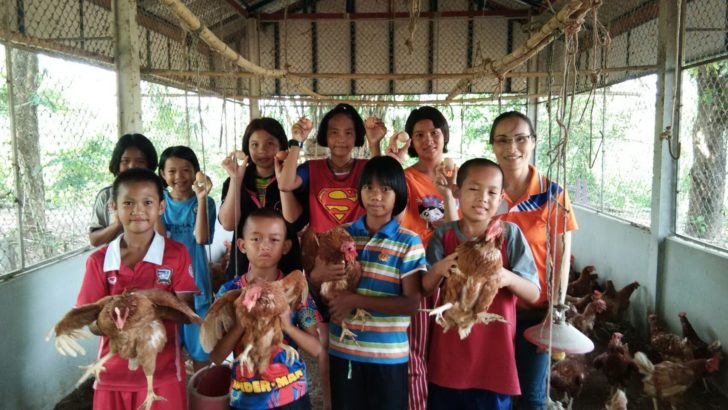 01-ไก่ไข่ รร.บ้านสันติสุขฯ