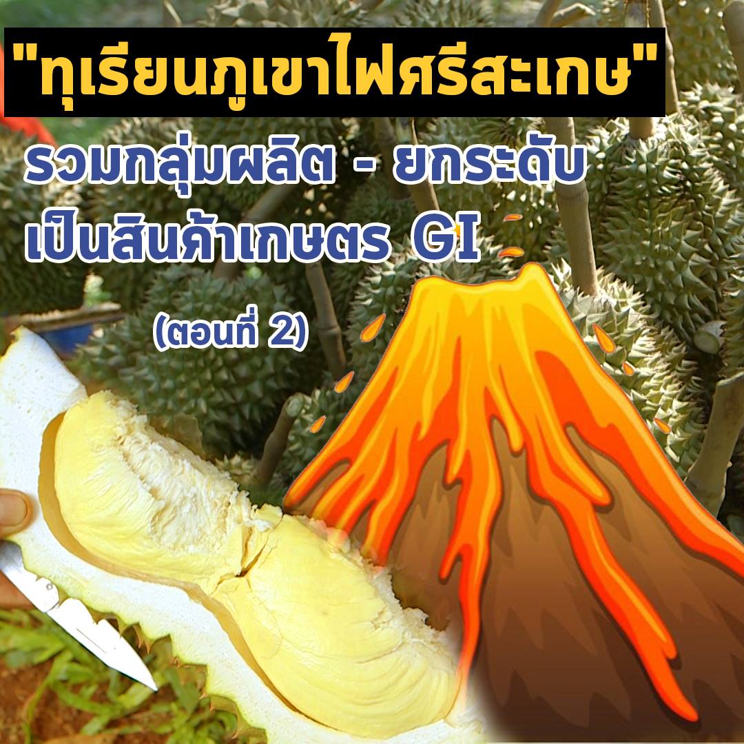 เสียงจากแผ่นดิน season3 EP.8 "ทุเรียนภูเขาไฟศรีสะเกษ" รวม ...