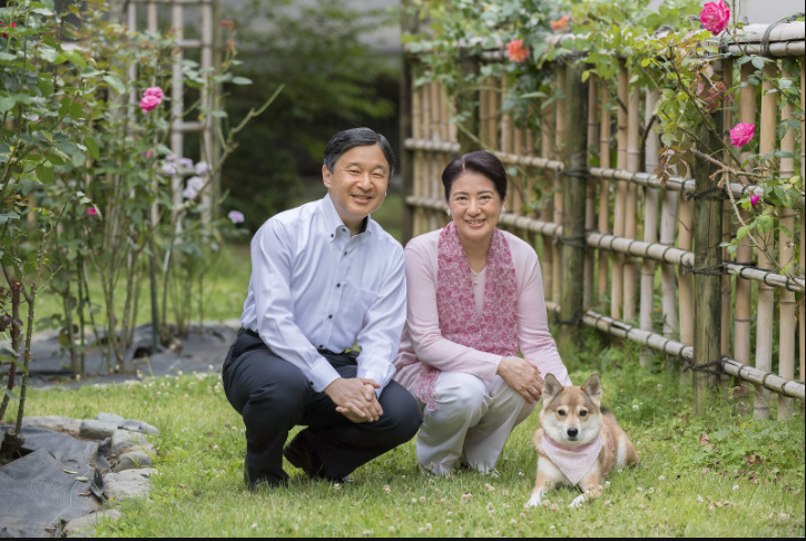 Screenshot-2018-6-9 In Photos Crown Prince Naruhito, Crown Princess Masako mark 25 years of marriage - The Mainichi