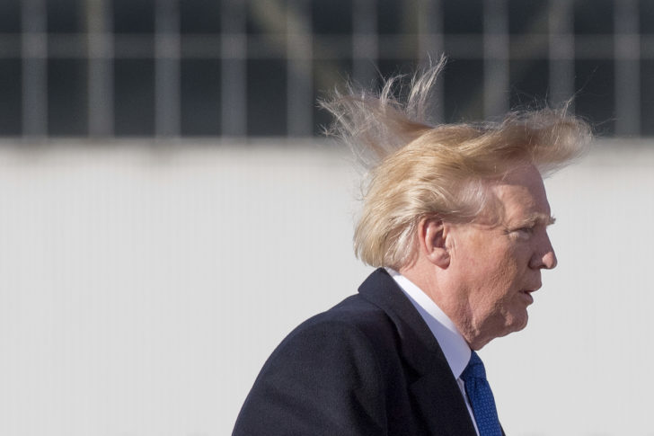 FILES-US-POLITICS-TRUMP-HAIR-OFFBEAT
