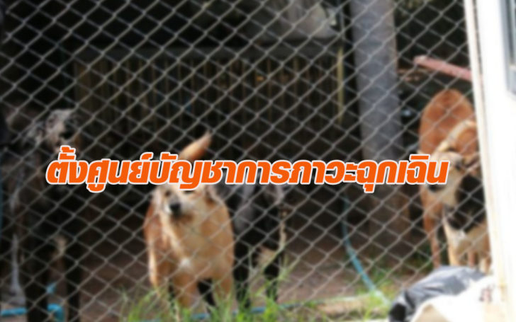 ดดดฟฟฟ