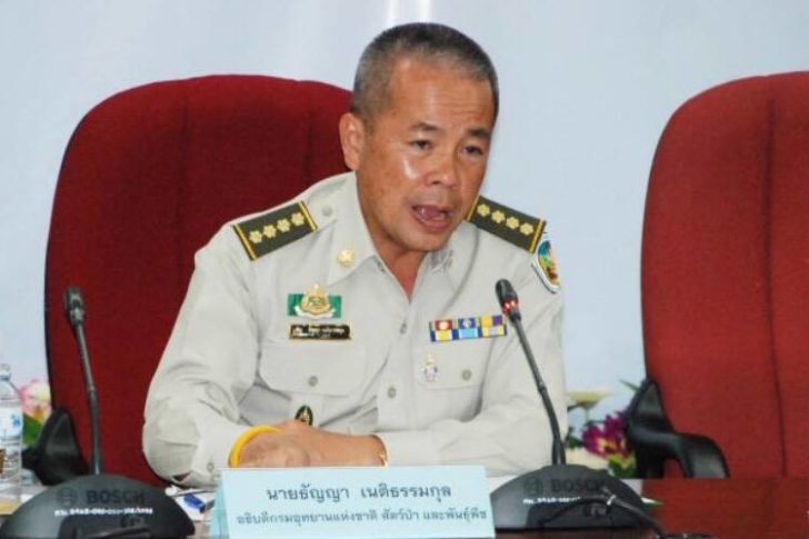 ธัญญา-เนติธรรมกุล