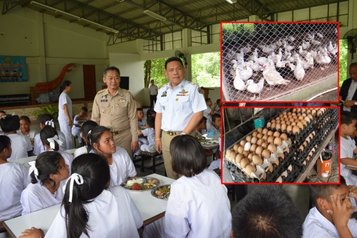 ปกโรงเรียนบ้านคลองธรรมชาติ