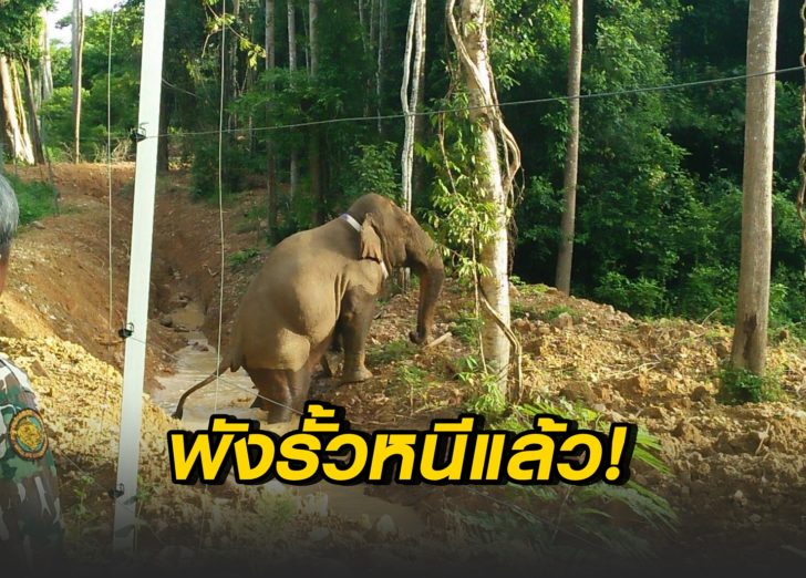 พังรั้วหนี