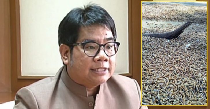รศ.ธรณ์-ธำรงนาวาสวัสดิ์