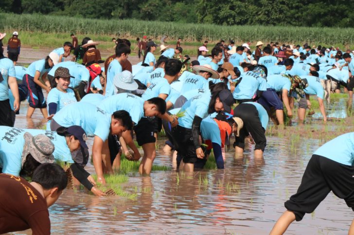 รับน้องดำนา01.jpg2