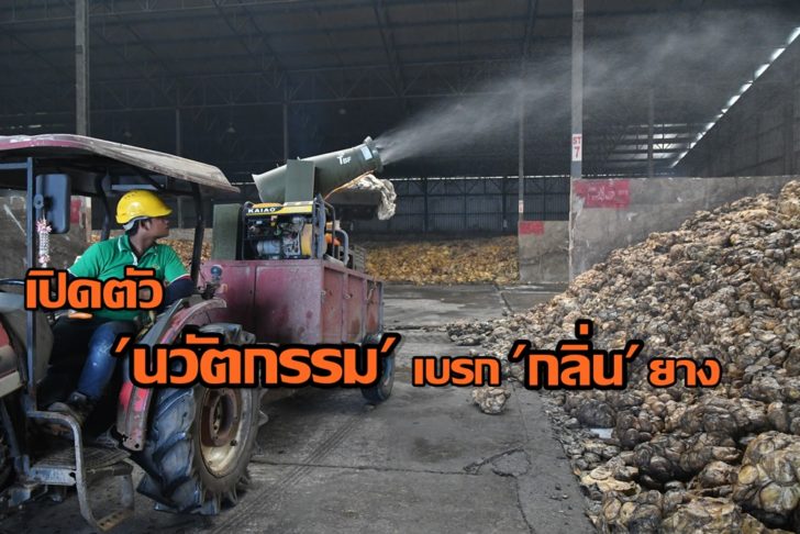รูปเปิด