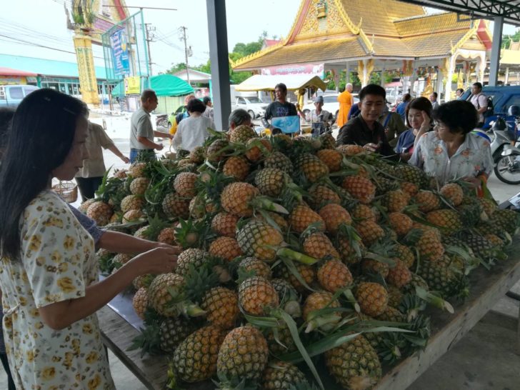 สัปปะรด