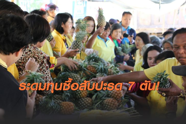 0307สับปะรด